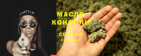 молекула духа Белая Холуница