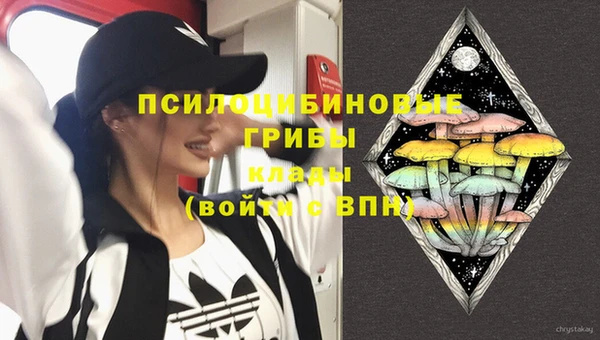 спайс Белокуриха